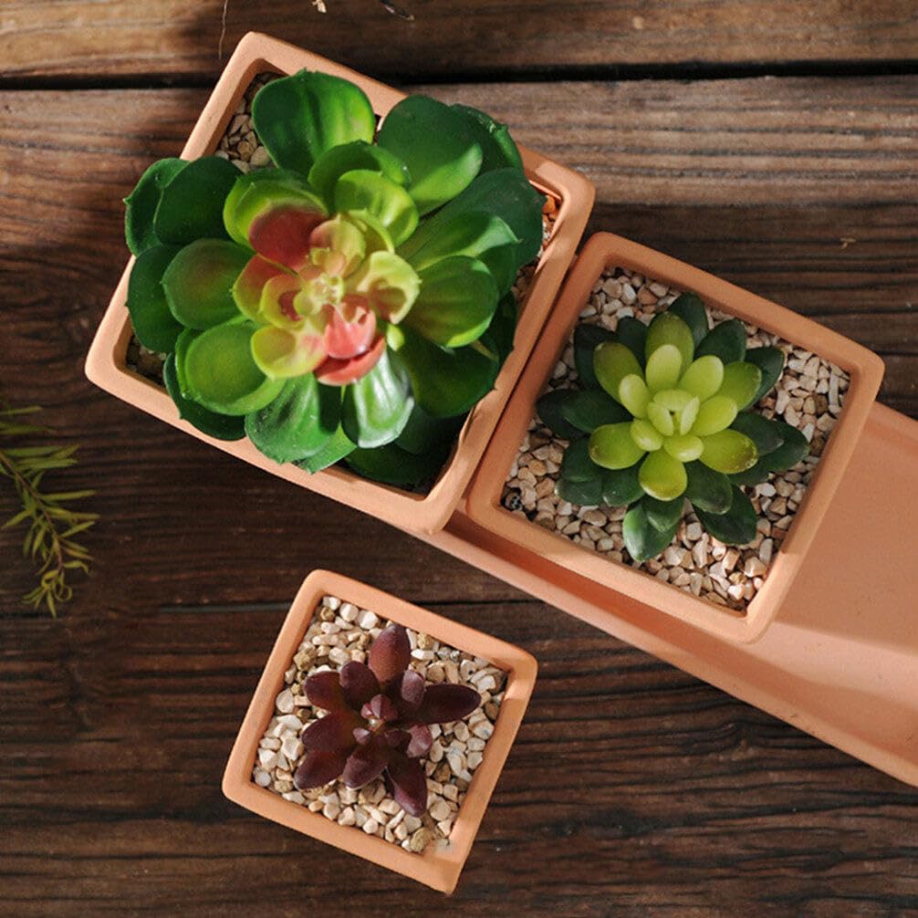 GANAZONO 5pcs Small Terracotta Pots Square Clay Pots Ceramic Flower with Drainage Holes Cactus Nursery Planter Succulent Terracotta Plant for Outdoor Indoor
