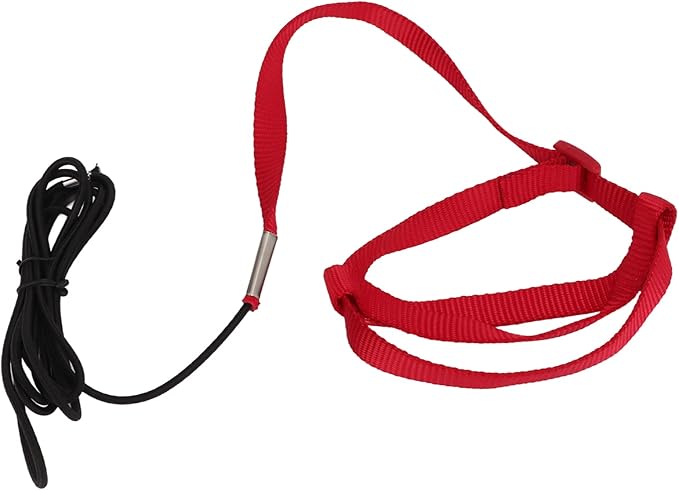 Elastic Parrot Harness Leash Bird Leash Bite Proof Harness Adjustable Parrot Flying Training Rope with Metal Hook Nylon Webbing for Cockatiels Walking (L)