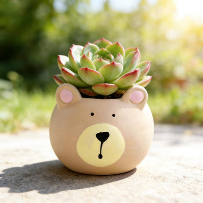 SYASDZHO Cute Bear Planter Animal Planters Ceramic Succulent Pots with Drainage Funny Vase Gift for Plant Lovers Flower Pot for Home Garden Office Desktop Decoration - Plants Not Included