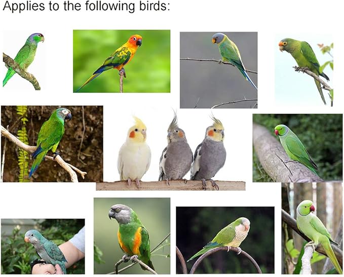 VANFAVORI Adjustable Bird Harness with 80 Inch Leash,Outdoor Flying Training Rope Kit for Bird Parrots Cockatiel S Size Weight 70-120 Grams,Blue