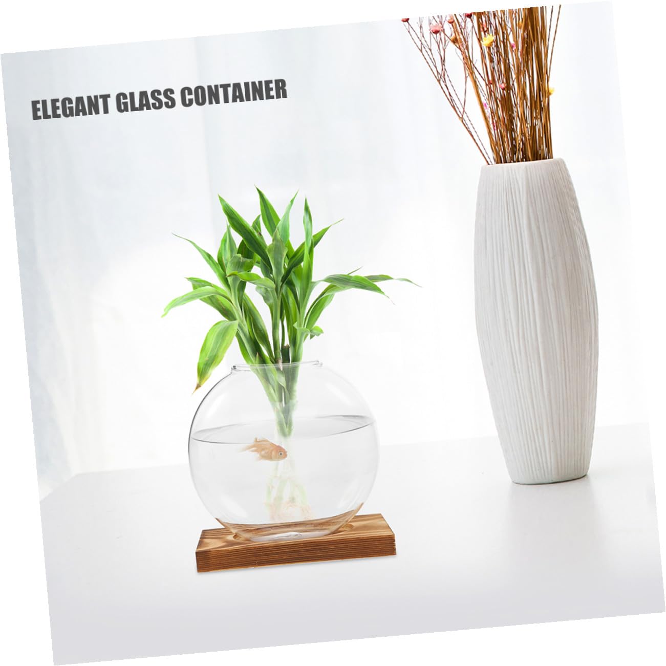 HOODANCOS 2Pcs Hydroponic Glass Vases with Wooden Base for Plant Propagation and Root Observation, Plant Terrarium Containers for Home Office Balcony Décor