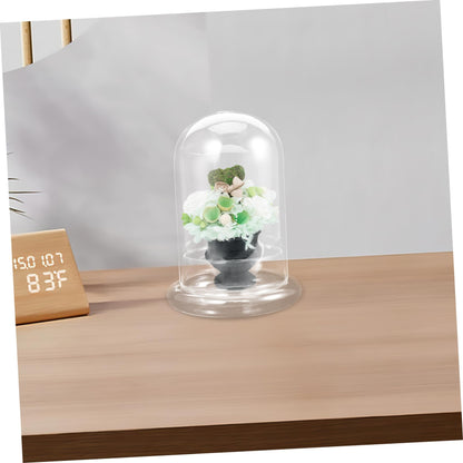 IWOWHERO Micro Landscape Vase Flower Vase Small Glass Terrarium Desktop Glass Terrarium Tabletop Aquarium Tank Micro Landscape Bottle Plant Holder High Borosilicate Glass Transparent