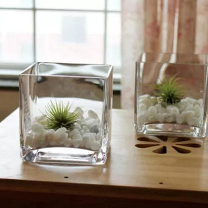 SECFOU 4.5 Inch Cube Glass Vase for Succulent Plants and Greenery, Small Terrarium Planter Pot for Hydroponic Use, Decorative Tabletop Flower Container for Home and Office