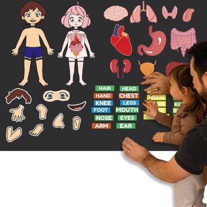 BEUNITONE Body Parts Learning Felt Story Board for Family 48 Pcs Large Preschool Human Organ Name Words Useful Felt Story Board Set Wall Activity for Birthday Christmas New Year Gifts