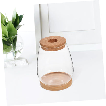 BESPORTBLE 1 Set Plant Terrarium Hydroponic Glass Vase Holder with Base Container for Plants Transparent Flower Arrangement Decor for Home Office and Garden