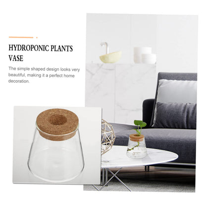 ETHZZLE 2Pcs Desktop Hydroponics Glass Planter Vase for Indoor Plants Chic Terrarium Containers for Home Office Decoration Floral Arrangement and Gift Ideas