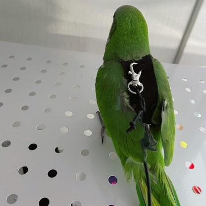 Bird Flight Harness Vest, Parrot Flight Suit with Leash for Parakeets Cockatiels Conures Budgies, Bird Flying Clothes with Rope and Handle for Outdoor Activities Training, Anti Bite (Large)