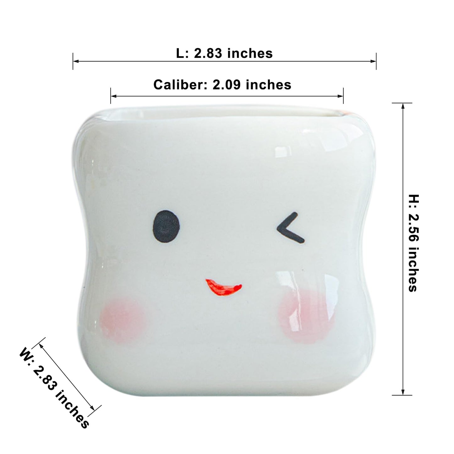 RUIXIAOXI Cute Smiling Cartoon Face Succulent Planter, Small White Ceramic Flower Pot Tooth-Shaped Plant Pot for Small Plants, Home & Office Desk Decoration - No Plants Included (Style B)