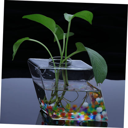 Zerodeko 2pcs Rhombus Glass Flower Vase Wall Planter Terrarium Container Decor for Home Office and Garden Decorative Hanging Planter for Plants and Propagation Display