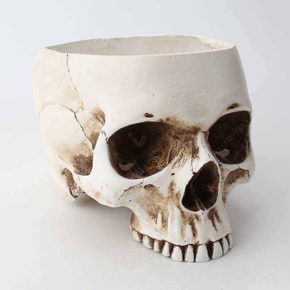 Mikayoo Skull Pen Holder Skull Makeup Brush Holder Pen Holder Dressing Table Office Desk Storage Box Green Plant Flower Pot Halloween Skull (Retro)