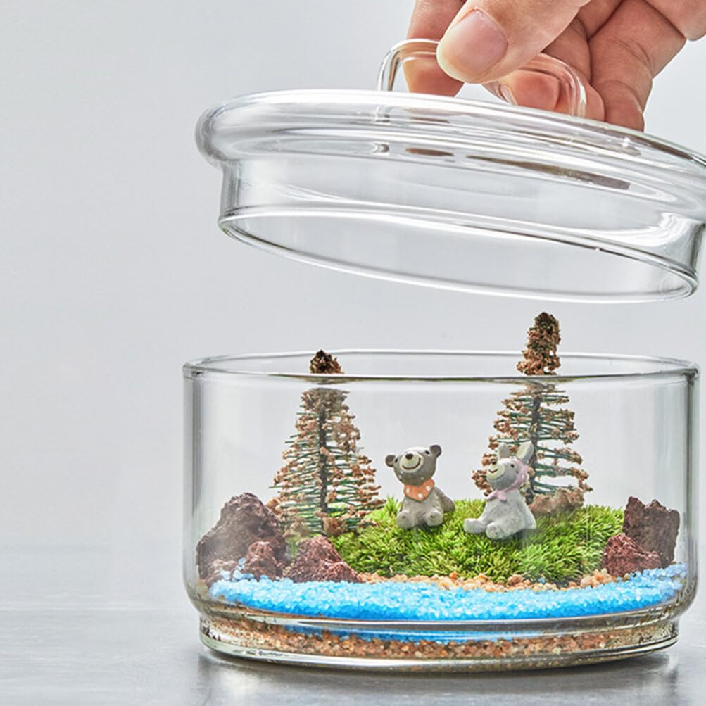 Baluue Creative Jar with Lid Glass Plant Terrarium with Lid Round Fish Bowl Air Planter Bulb Succulent Pot Vase Micro Landscape Bottle for Tabletop Decoration Bud Vases