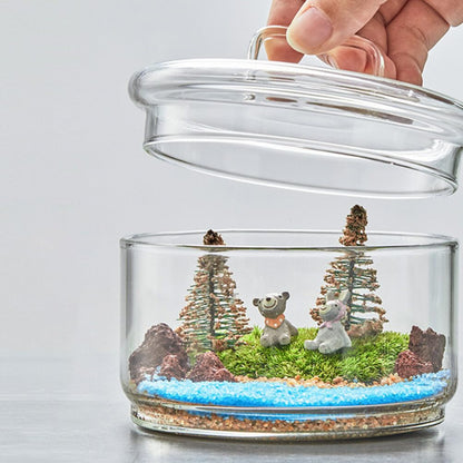 Baluue Creative Jar with Lid Glass Plant Terrarium with Lid Round Fish Bowl Air Planter Bulb Succulent Pot Vase Micro Landscape Bottle for Tabletop Decoration Bud Vases