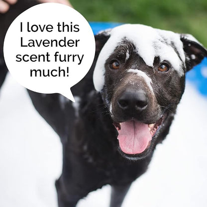 5-in-1 Dog Wash Moisturizing Lavender Shampoo, by Kira Labs 960ml/32fl