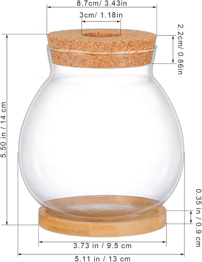 POPETPOP Desktop Glass Fish Bowl - Round Small Fish Tank with Wood Stopper & Bamboo Mat, Clear Glass Betta Fish Bowl for Succulent Plants, Hydroponic Air Plant (5.1X5.5 in)