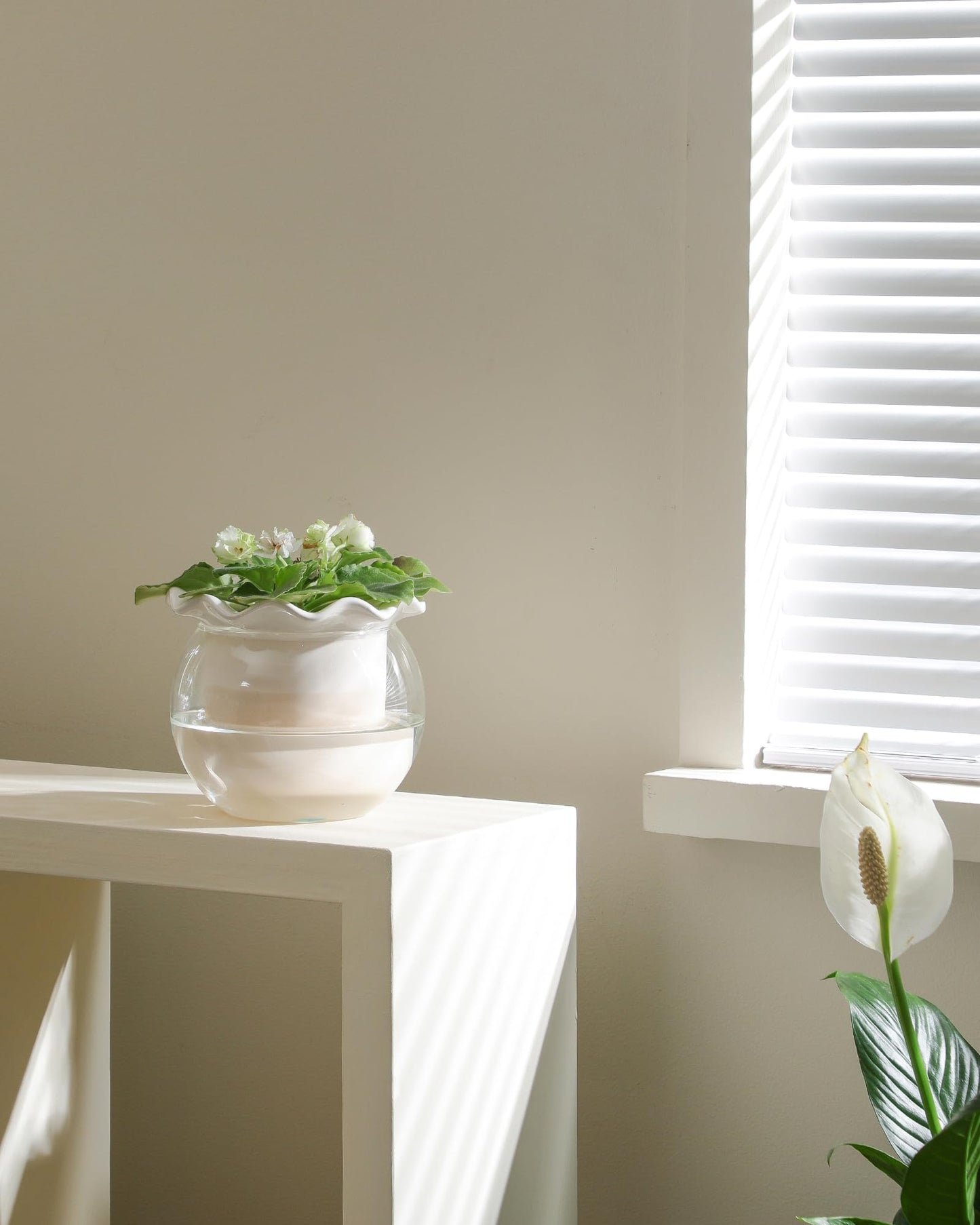 Fayoula 6 Inch African Violet Pots Maintenance, Glass Self-Watering Planter for Indoor Plants - Ideal Flower Pot for Thriving Indoor Gardens, Pots Only (Version 2)