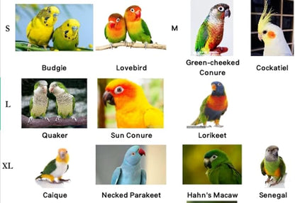 Bird Harness Leash Adjustable Outdoor Training Flying Harness Traction Rope with Cute Wing for Parrots Pigeons Budgerigar Lovebird Cockatiel Mynah (M,Yellow)