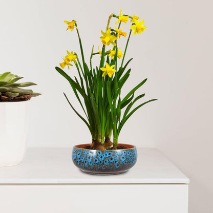 Gogogmee Ceramic Lotus Bowl Planter No Drainage Hydroponic Water Lily Pot for Indoor Aquatic Plants Succulents and Decorative Home Garden