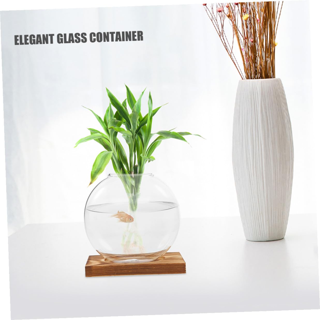 HYTROVE 2Pcs Hydroponic Glass Vase with Wooden Base, Propagation Planter for Indoor Plants, Desktop Terrarium Station for Home and Office Decor