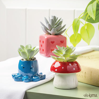 Karma, Shaped Succulent Pot, Artificial Succulents in Ceramic Pot, Faux Mini Succulent Plant, Desk Decor, Office Plants, Succulent Décor Faux Succulent Plants Potted - Heart Dice
