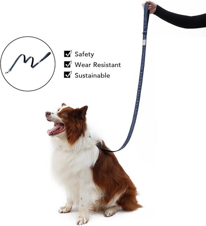 Soft Leather 4ft Dog Collar and Leash Set,Stylish 4ft PU Leather Dog Training Leash, Adjustable Durable Pet Collars with Quick Release Buckle for Large Dogs,Medium Dogs,Terracotta (Blue, 4 feet)