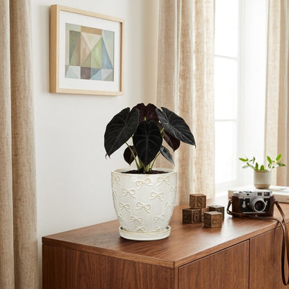 Hollyone 6 Inch White Ceramic Planter Flower Plant Pot with Drainage Hole and Saucer for Plants Embossed Indoor Outdoor Garden Embossed Ceramic Glazed Round Pot for Succulent Orchid Bow Pattern
