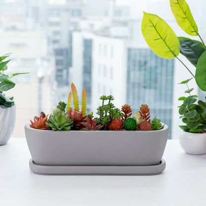 MyGift 14 Inch Oval Modern Gray Concrete Succulent Planter Pot with Drainage Hole and Removable Saucer, Decorative Cement Indoor House Plant Container for Flowers, Cactus, Herbs