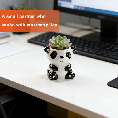 SYASDZHO Cute Animal Ceramic Succulent Planter with Drainage Hole - Mini Panda/Squirrel/Elephant Pot for Indoor Plants, Funny Desktop Decor Gift for Plant Lovers - Plants Not Included (Panda)