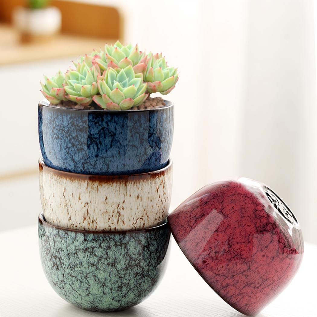 YYW Ceramic Plants Pots 3 Inch Set of 4 Flower Pots with Drainage and Bamboo Tray for Indoor/Outdoor Small House Plants,Foliage Plant (Set 2)