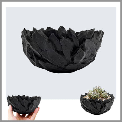 Dak Haan Succulent Pot with Drainage – Indoor Plant Pots, Artistic Design Flower Pots,Personalized Custom Mothers Day Plant Pot, Shallow Succulents Pots Bowls for Home, Office, Weddings & Party Décor