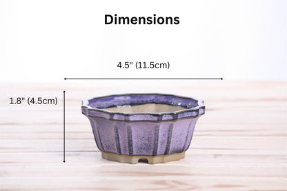 Willow Bonsai Ceramics Flower Design Bonsai Pot 4.5 Inch – Elegant Ceramic Bonsai & Succulent Pot, High‑Fired Frost‑Proof Stoneware with Drainage+Wiring Holes, Handmade USA (Purple, 4.5inch)