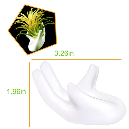 6 Pack Ceramic Air Plant Stand Holder, Hand Shape Tillandsia Airplant Container Pot Tabletop Plant Display Hand Racks for Home Office Decoration Supplies(White)