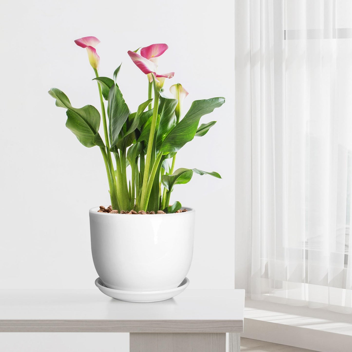 YUFDA 8 Inch Ceramic Planter, Plant Pots with Drainage Hole and Separable Saucer,Indoor-Outdoor Round Succulent Orchid Flower Pot,Indoor pots for Plants(Smooth White,Plant Pot only)