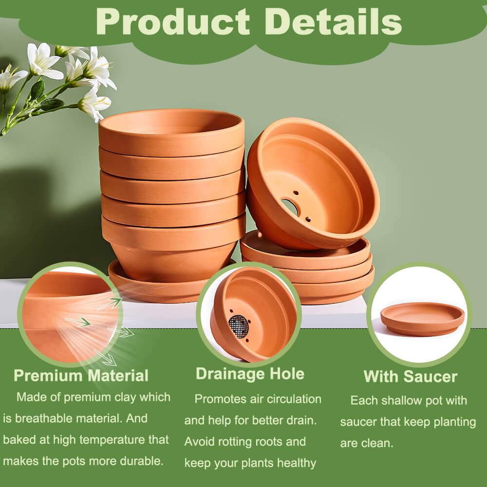 5 Inch Shallow Terracotta Pot for Succulent - 6 Pcs Small Shallow Plant Pots with Drainage Hole and Saucer Mesh Pad, Clay Plant Pottery Pots for Cactus Succulent and Other Indoor Outdoor Plants