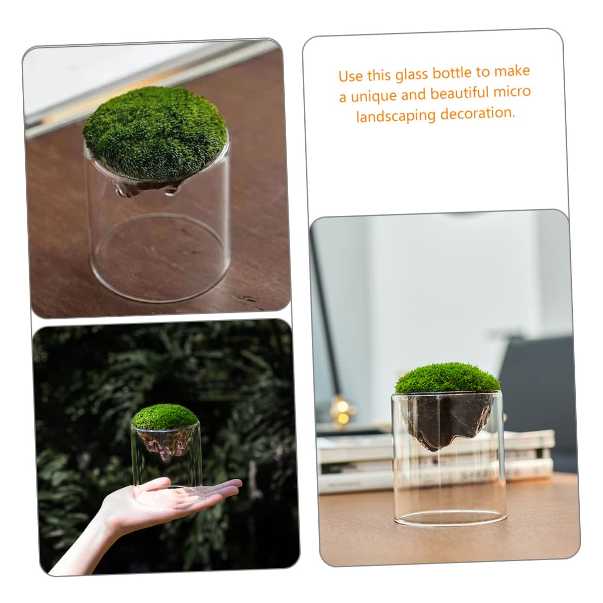 Parliky Terrarium Jars Set DIY Landscape Glass Bottle Moss Home Decor Plant Container