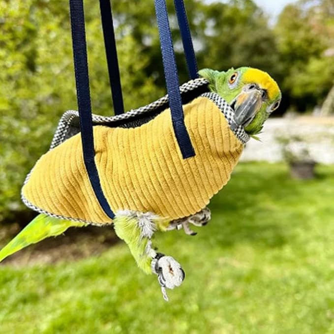 Bird Travel Carrier, Portable Bird Bag with Escape Resistant Outdoor Harness Vest for Small Medium Parrots, Cockatiel, Budgie, Ideal for Travel and Outdoor Adventures (L) (10cm)