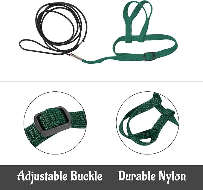 2 pcs Pet Parrot Bird Harness and Leash, Adjustable Training Design Anti-Bite, Outdoor Flying Training Rope Kit for Bird Parrots Fits Birds Chest Between35-62cm /13.78-24.41inch - L (Green
