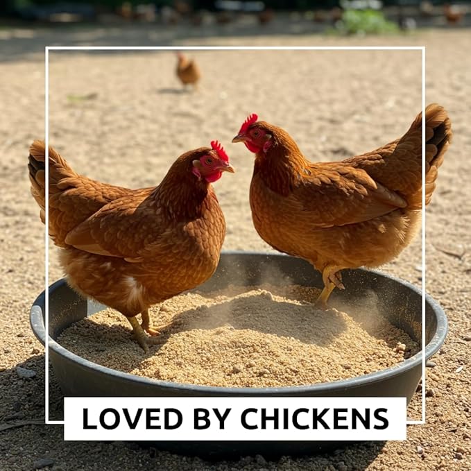 World’s Best Chicken Dust Bath – Natural Wood Ash, Sand & Fine Dust Blend – Safe for All Chickens (5 Pounds)