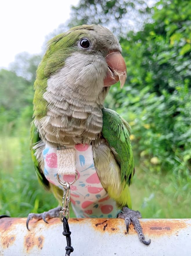 Bird Diaper Harness Flight Suit Clothes, Parrot Flight Suit with Leash, Bird Flying Clothes with Rope and Handle for Outdoor Activities Training (Pink Without Leash,Large)