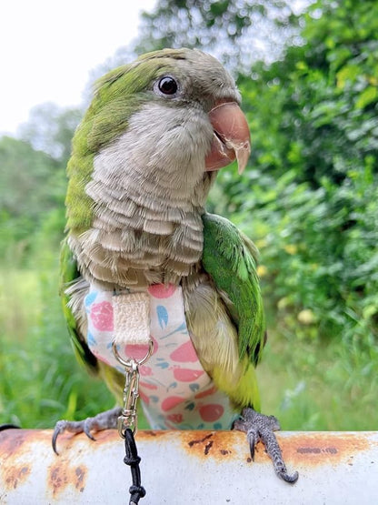 Bird Diaper Harness Flight Suit Clothes, Parrot Flight Suit with Leash, Bird Flying Clothes with Rope and Handle for Outdoor Activities Training (Pink Without Leash,Small)
