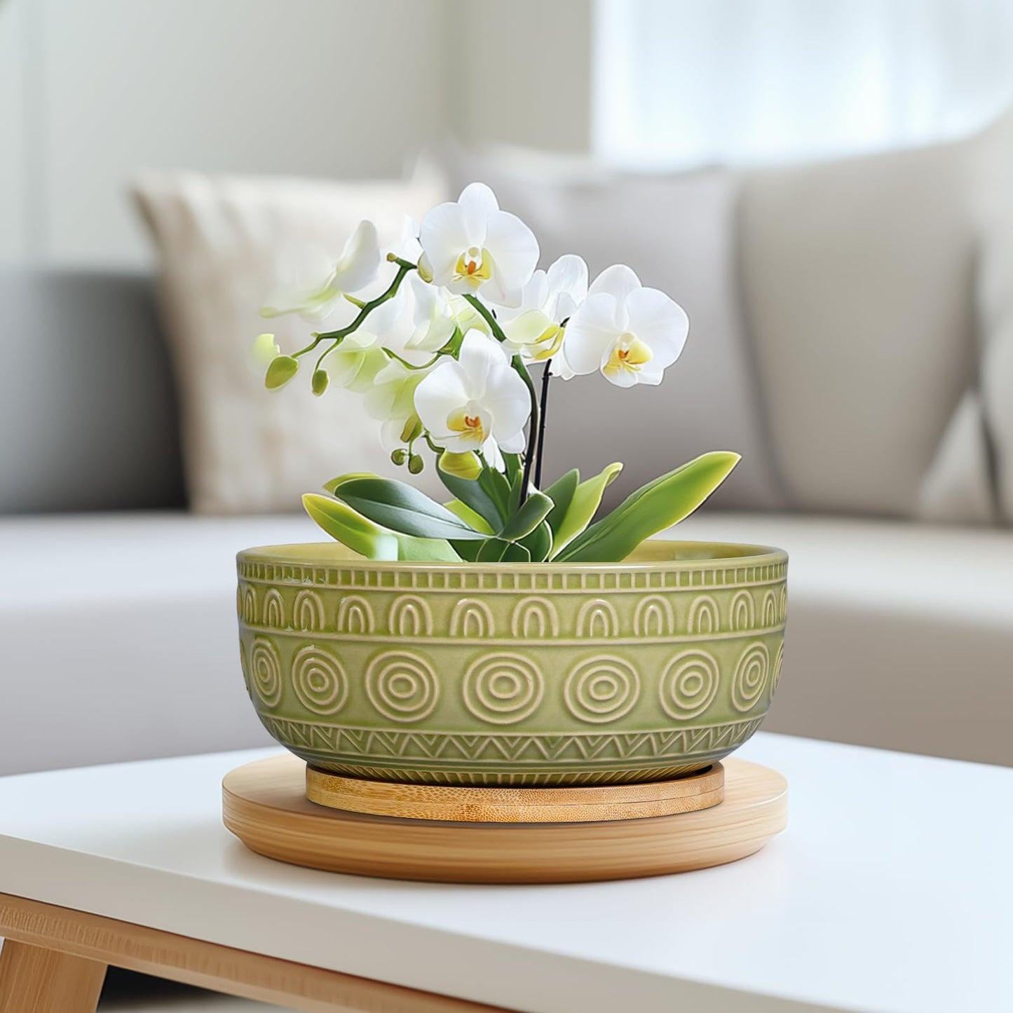 Eightpot Bonsai Pots - 8 Inch Ceramic Succulent Pots with Drainage Hole and Saucer, Shallow Round Planter for Indoor Plants, Boho Bowl Planter, Room Decor, Green