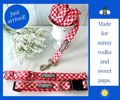 Lucky Love Dog - Easy Click Buckle Dog Collar with Leash Set Combo, Durable & Comfortable for Male & Female Dogs, Pet Collar for Large Dogs, Secure Fit - Bailey Combo, Large