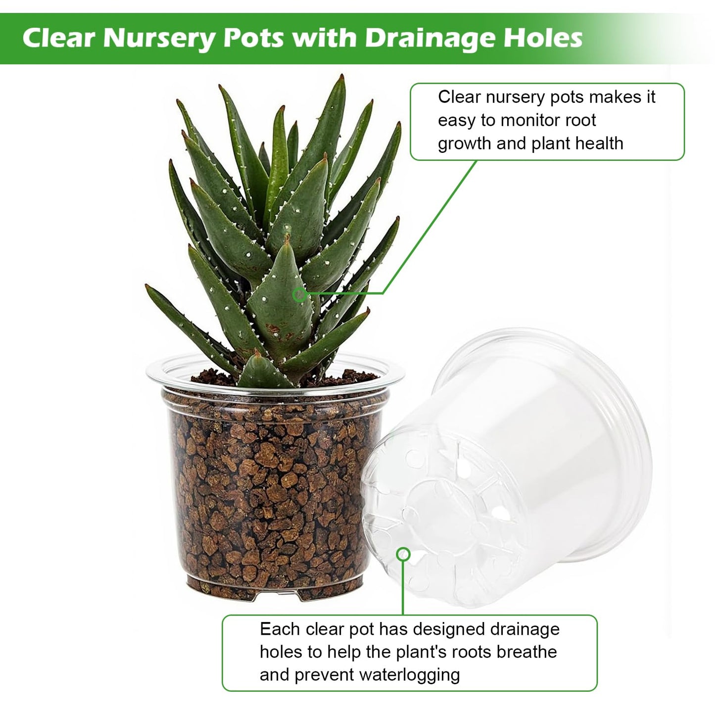 60 Pack Clear Nursery Pots with Drainage Holes, 3.5/4/5/6/7 Inch Clear Plastic Pots for Plants, Reinforced Transparent Nursery Pot with 60 Colorful Plant Labels 2 Garden Tools