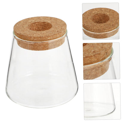 ETHZZLE 2Pcs Desktop Hydroponics Glass Planter Vase for Indoor Plants Chic Terrarium Containers for Home Office Decoration Floral Arrangement and Gift Ideas