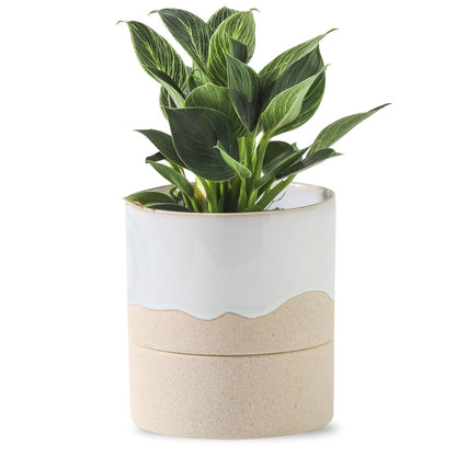 Nihow Self Watering Plant Pot: 4.5 Inch Ceramic Planter with Drainage Hole & Water Storage Plus for Indoor & Outdoor Plants - Cylinder Flower Pot for Herbs/Violets - White & Nature