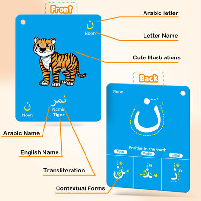 48 Arabic Toddler Flash Cards, Baby Cognitive Flashcards for Kids, Learn Arabic Letters, Number, Color, Shape & Sight Words, Educational Toys with English Transliteration for Preschool Kindergarten