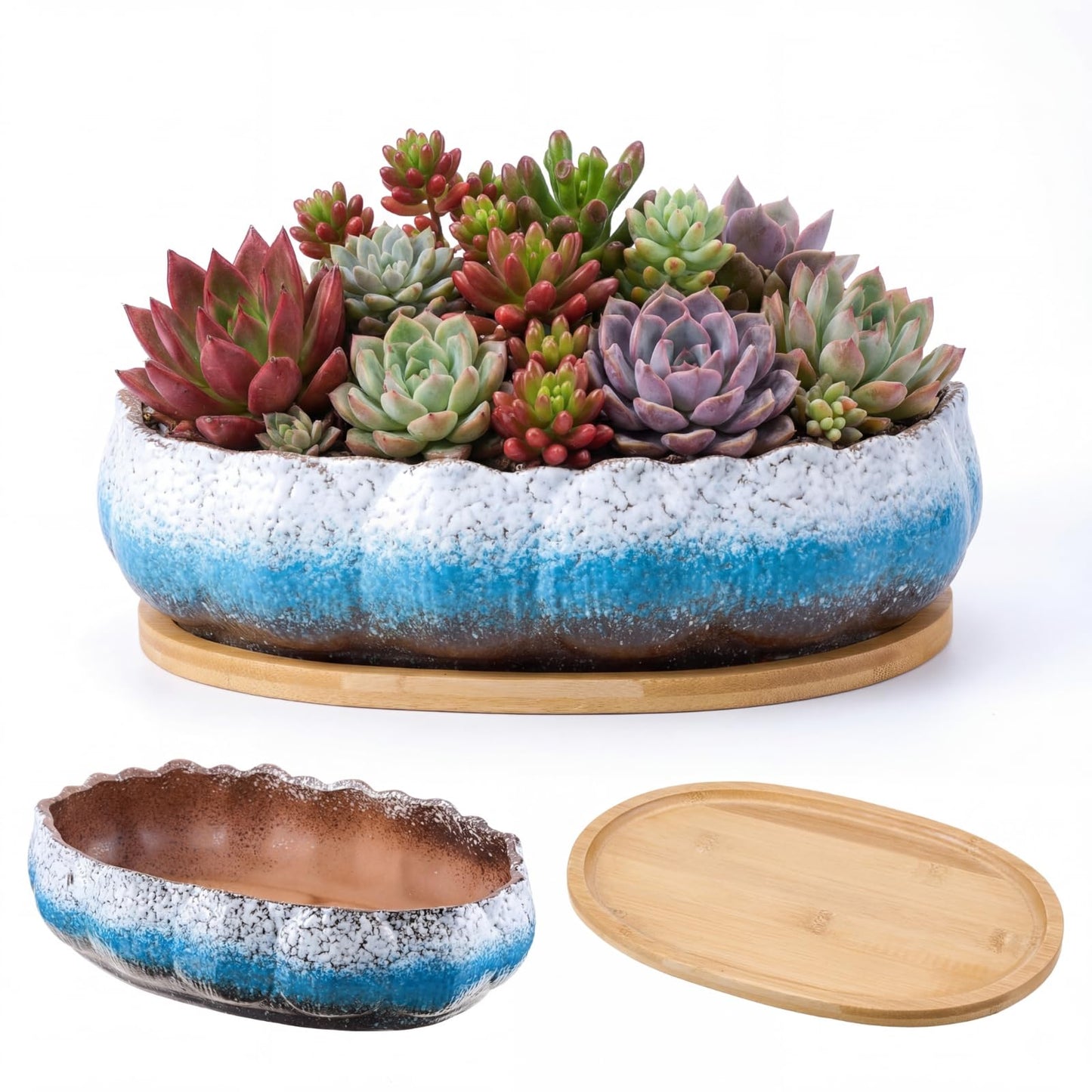 Singhoow Succulent Planter Pot with Drainage Holes Large Ceramic Glazed Planter with Bamboo Wooden Tray and mesh Pads Shallow Bonsai Pot for Indoor Cactus Flower Plant(Lotus-Shaped,Turquoise)