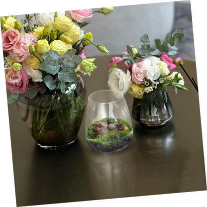 Yardenfun Hydroponic Glass Terrarium for Indoor Decor Moss Plant Container Sustainable Glass Landscape for and Centerpieces