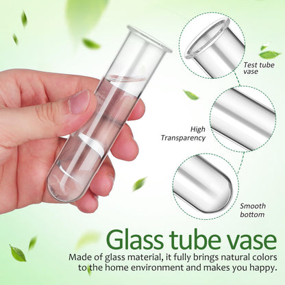 Healvian 5pcs Glass Test Tube Hydroponic Plant Vase Propagation Station for Desk Small Terrarium Flowers Home Décor 2.5x3x11cm
