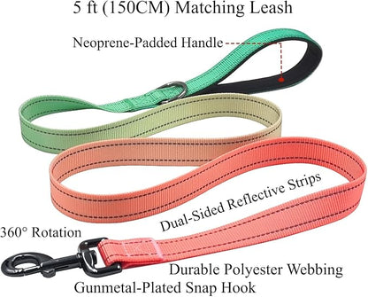 Dog Collar Leash Set, Gradient Color, with Safety Reflective Strips, 5 ft Matching Leash, Neoprene Padded Handle, Adjustable 4 Sizes for Small Medium Large Dogs.(L, Green Orange)