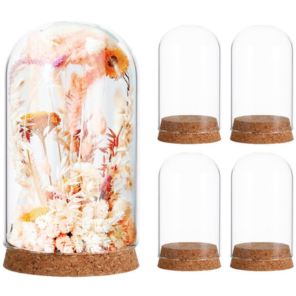 LIOOBO Glass Cloche Bell Jar with Cork Base, Tiny Display Dome for Eternal Flower And Micro Landscape, Clear Terrarium Container Bulk 5 Pack